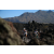 Team 32 / Raid l'Arbre Vert Amazones Bali - Triathlon