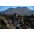 Team 09 / Raid l'Arbre Vert Amazones Bali - Triathlon