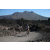 Team 50 / Raid l'Arbre Vert Amazones Bali - Triathlon