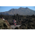 Team 70 / Raid l'Arbre Vert Amazones Bali - Triathlon