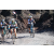 Team 25 / Raid l'Arbre Vert Amazones Bali - Triathlon