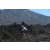 Team 67 / Raid l'Arbre Vert Amazones Bali - Triathlon