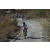 Team 36 / Raid l'Arbre Vert Amazones Bali - Triathlon