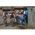 Team 08 / Raid l'Arbre Vert Amazones Bali - Triathlon