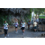 Team 14 / Raid l'Arbre Vert Amazones Bali - Triathlon