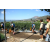 Team 39 / Raid l'Arbre Vert Amazones Bali - Triathlon
