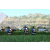 Team 03 / Raid l'Arbre Vert Amazones Bali - Triathlon