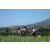 Team 17 / Raid l'Arbre Vert Amazones Bali - Triathlon
