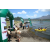 Team 71 / Raid l'Arbre Vert Amazones Bali - Triathlon