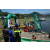 Team 70 / Raid l'Arbre Vert Amazones Bali - Triathlon