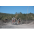 Team 15 / Raid l'Arbre Vert Amazones Bali - Triathlon