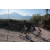 Team 38 / Raid l'Arbre Vert Amazones Bali - Triathlon