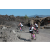Team 70 / Raid l'Arbre Vert Amazones Bali - Triathlon