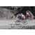 Team 43 / Raid l'Arbre Vert Amazones Bali - Triathlon