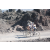 Team 24 / Raid l'Arbre Vert Amazones Bali - Triathlon