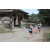Team 22 / Raid l'Arbre Vert Amazones Bali - Triathlon