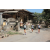 Team 18 / Raid l'Arbre Vert Amazones Bali - Triathlon