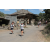 Team 40 / Raid l'Arbre Vert Amazones Bali - Triathlon