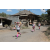 Team 70 / Raid l'Arbre Vert Amazones Bali - Triathlon