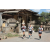 Team 28 / Raid l'Arbre Vert Amazones Bali - Triathlon