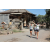 Team 21 / Raid l'Arbre Vert Amazones Bali - Triathlon