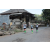 Team 19 / Raid l'Arbre Vert Amazones Bali - Triathlon