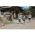 Team 14 / Raid l'Arbre Vert Amazones Bali - Triathlon