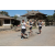 Team 26 / Raid l'Arbre Vert Amazones Bali - Triathlon