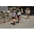 Team 41 / Raid l'Arbre Vert Amazones Bali - Triathlon