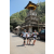 Team 53 / Raid l'Arbre Vert Amazones Bali - Triathlon