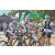 Team 58 / Raid l'Arbre Vert Amazones Bali - Triathlon