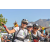 Team 65 / Raid l'Arbre Vert Amazones Bali - Triathlon