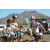 Team 50 / Raid l'Arbre Vert Amazones Bali - Triathlon