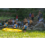 Team 01 / Raid l'Arbre Vert Amazones Bali - Triathlon