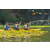 Team 65 / Raid l'Arbre Vert Amazones Bali - Triathlon