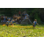 Team 37 / Raid l'Arbre Vert Amazones Bali - Triathlon