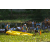 Team 15 / Raid l'Arbre Vert Amazones Bali - Triathlon