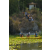 Team 15 / Raid l'Arbre Vert Amazones Bali - Triathlon