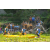 Team 08 / Raid l'Arbre Vert Amazones Bali - Triathlon