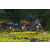 Team 63 / Raid l'Arbre Vert Amazones Bali - Triathlon