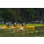 Team 09 / Raid l'Arbre Vert Amazones Bali - Triathlon