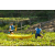 Team 50 / Raid l'Arbre Vert Amazones Bali - Triathlon