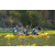 Team 50 / Raid l'Arbre Vert Amazones Bali - Triathlon