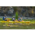 Team 39 / Raid l'Arbre Vert Amazones Bali - Triathlon