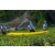 Team 59 / Raid l'Arbre Vert Amazones Bali - Triathlon
