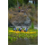 Team 59 / Raid l'Arbre Vert Amazones Bali - Triathlon