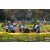 Team 14 / Raid l'Arbre Vert Amazones Bali - Triathlon