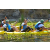 Team 14 / Raid l'Arbre Vert Amazones Bali - Triathlon