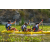 Team 05 / Raid l'Arbre Vert Amazones Bali - Triathlon
