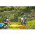 Team 16 / Raid l'Arbre Vert Amazones Bali - Triathlon